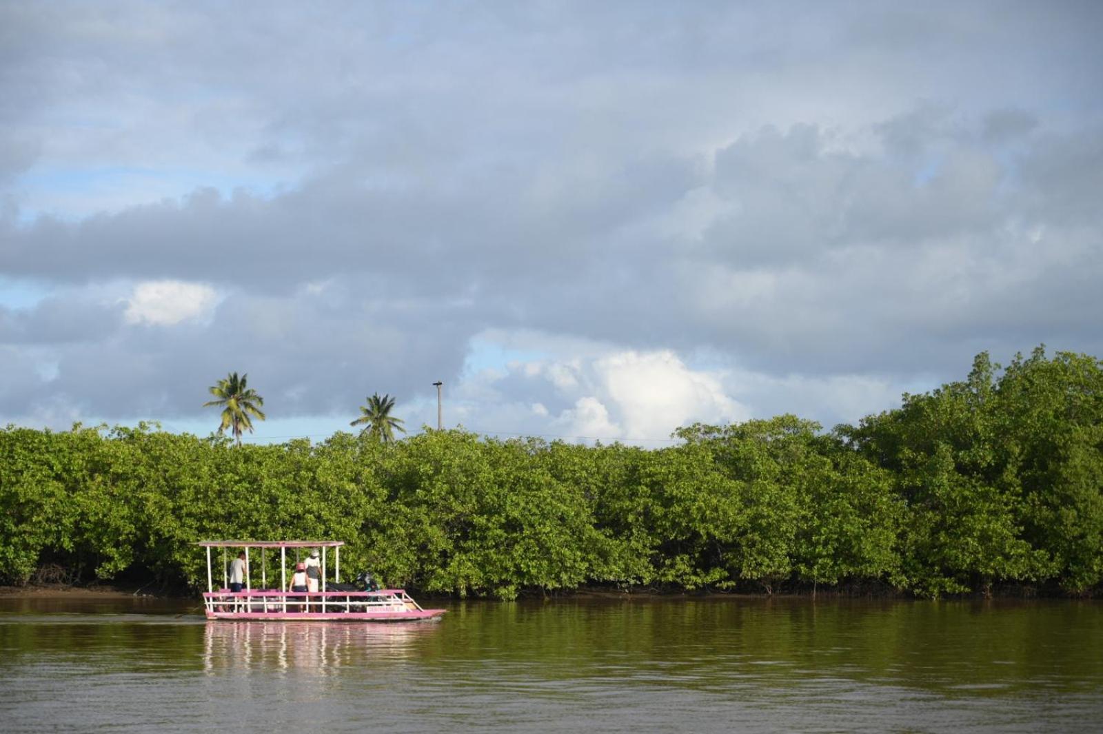 Bangalo Verde Recanto Uana - 280M Praia Tatuamunha Maceió المظهر الخارجي الصورة