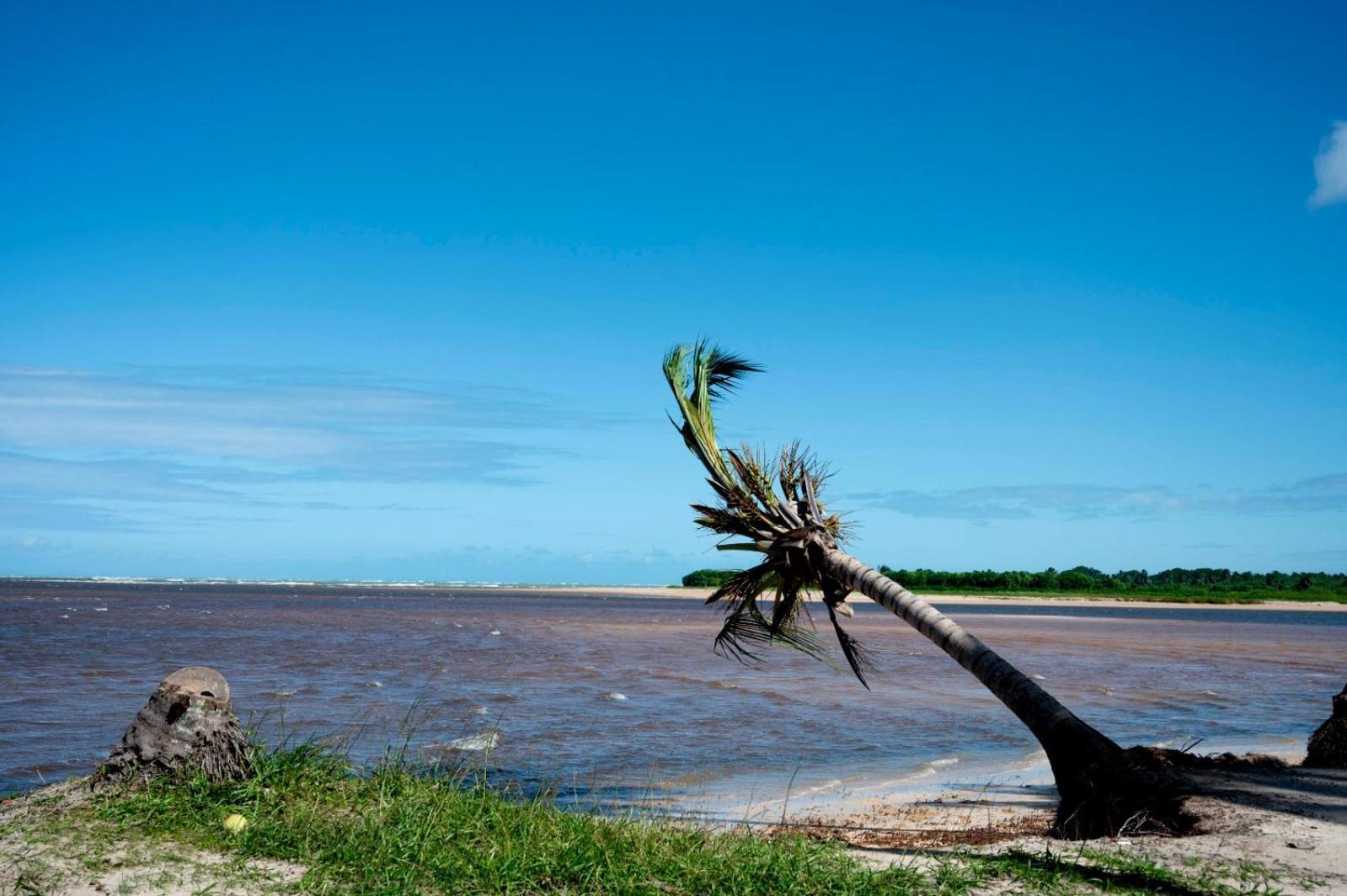 Bangalo Verde Recanto Uana - 280M Praia Tatuamunha Maceió المظهر الخارجي الصورة